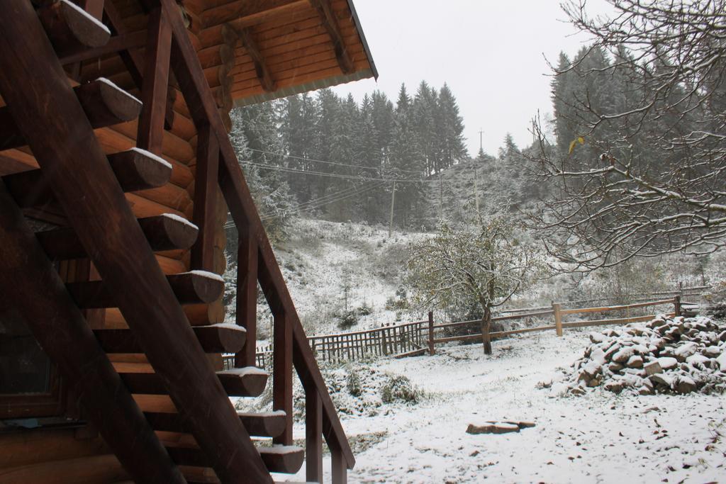 Sadyba Kazkove Dzherelo Verchovyna Pokoj fotografie