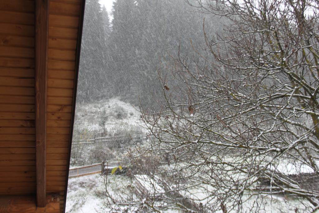 Sadyba Kazkove Dzherelo Verchovyna Exteriér fotografie