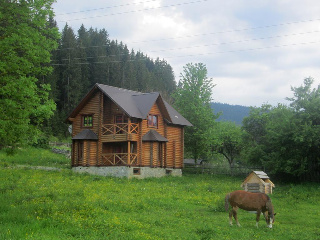 Sadyba Kazkove Dzherelo Verchovyna Exteriér fotografie