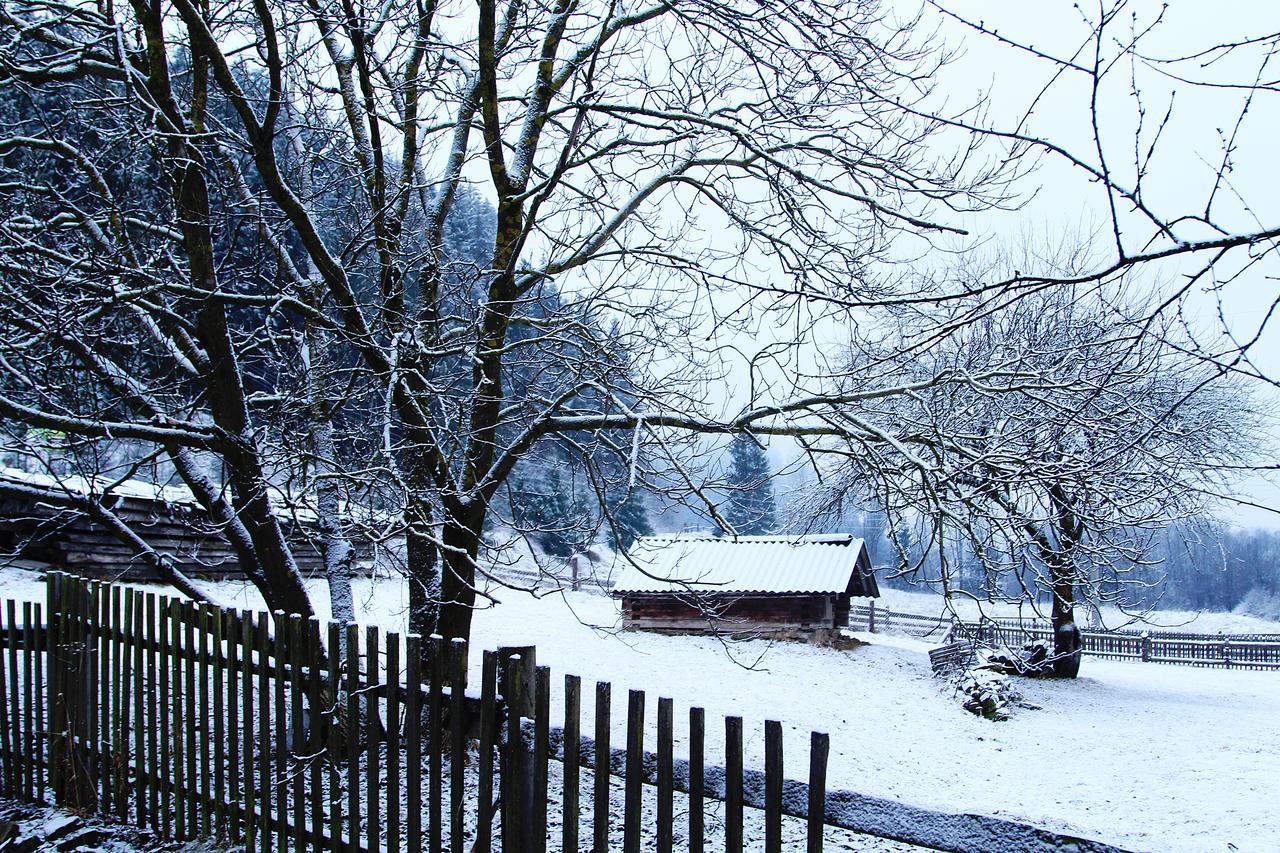 Sadyba Kazkove Dzherelo Verchovyna Exteriér fotografie