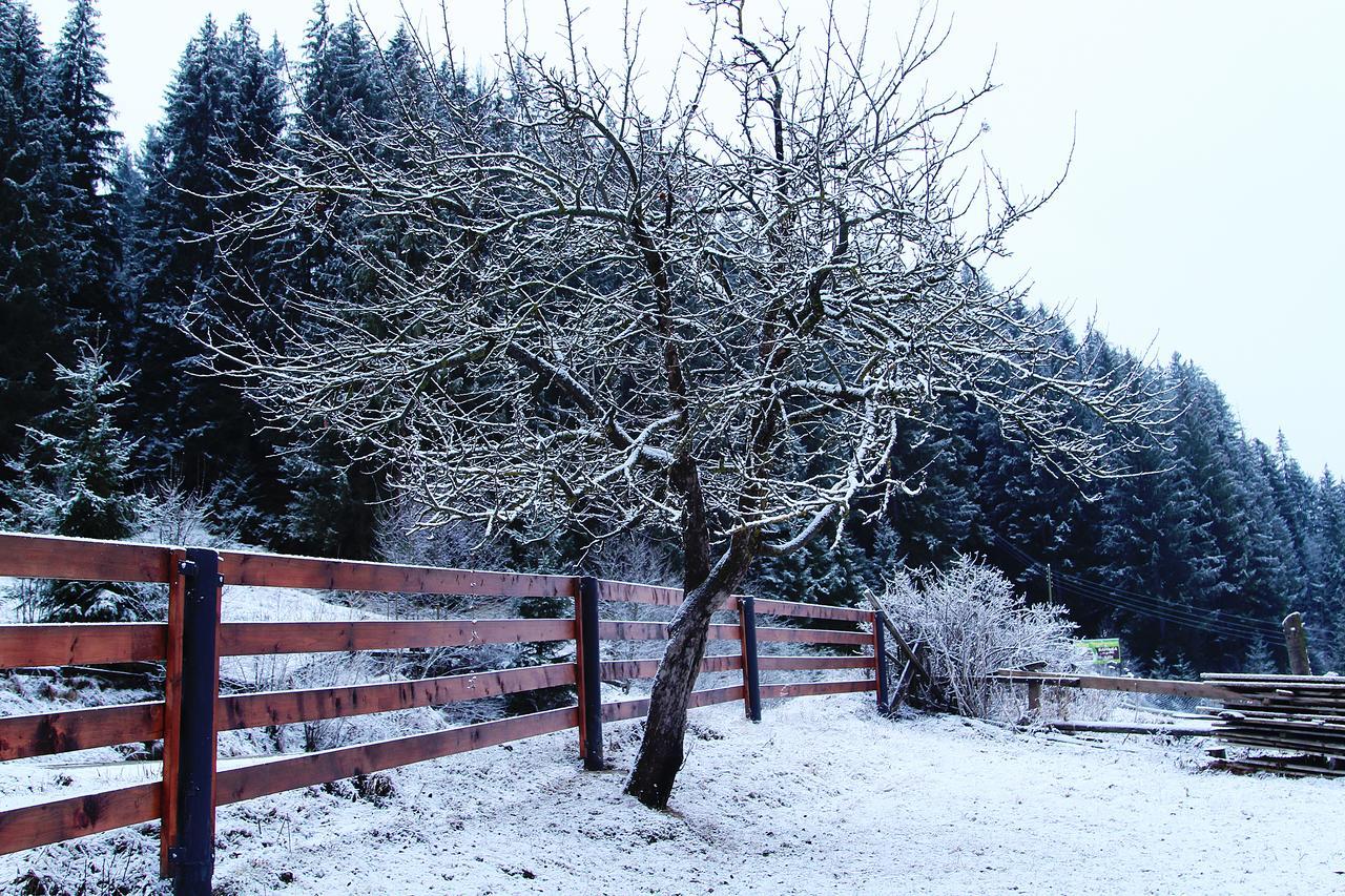 Sadyba Kazkove Dzherelo Verchovyna Exteriér fotografie