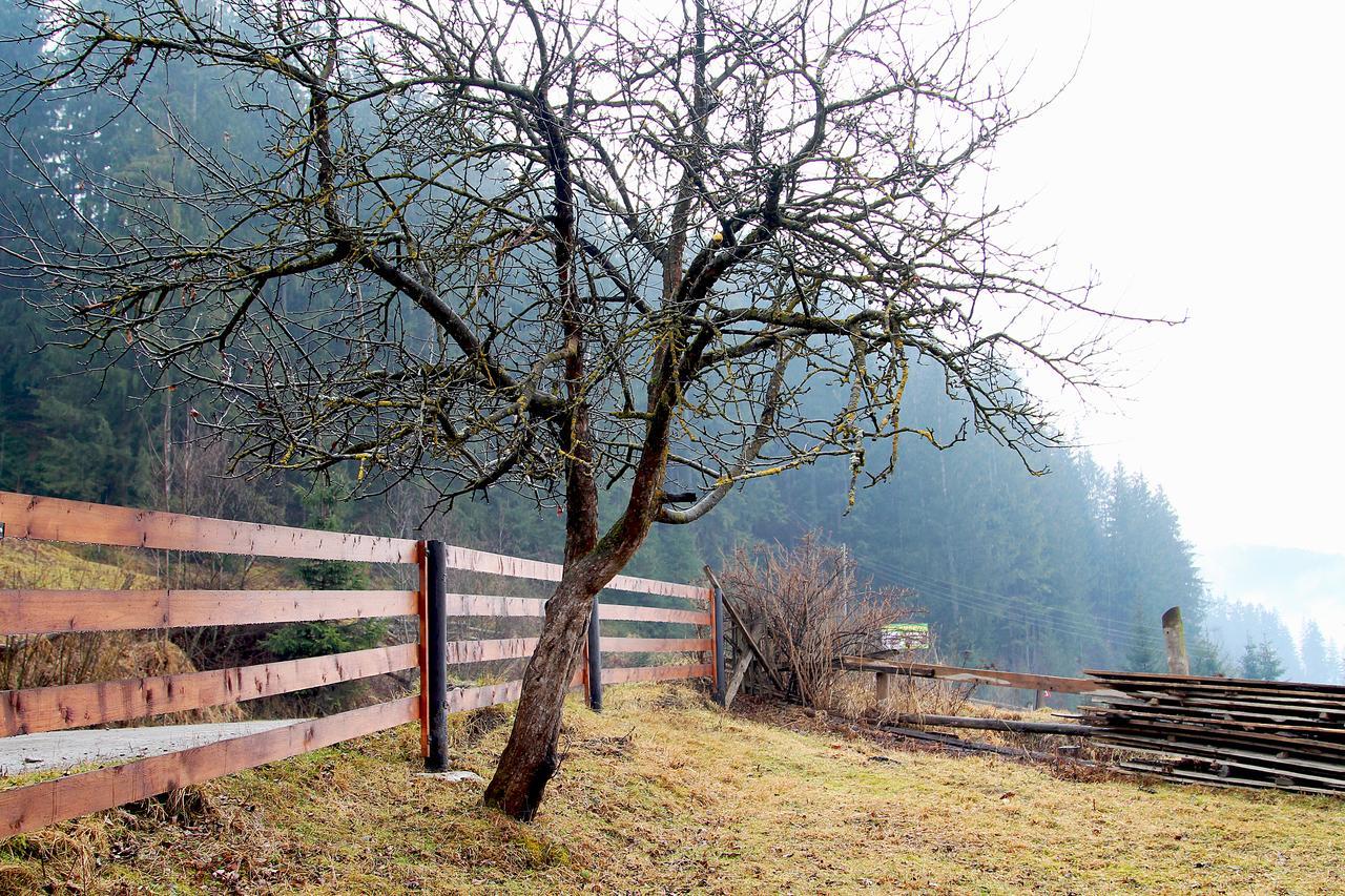 Sadyba Kazkove Dzherelo Verchovyna Exteriér fotografie